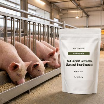 Feed Enzyme Dextranase Livestock Beta-Glucanase Feed Grade Powder — industrial enzyme by enzymes.bio