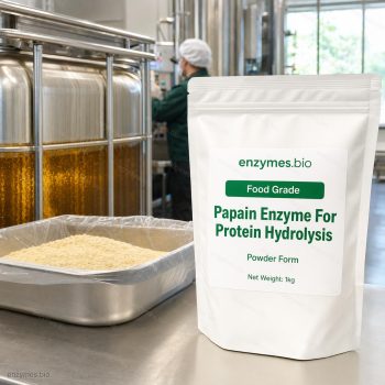 Papain Enzyme For Protein Hydrolysis Food Grade Powder — industrial enzyme by enzymes.bio