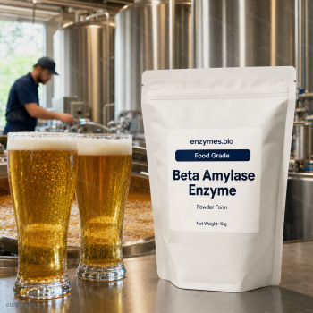 Beta Amylase Enzyme Powder 700,000u/g