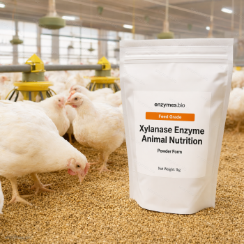 Xylanase Enzyme Animal Nutrition Feed Grade Powder — industrial enzyme by enzymes.bio