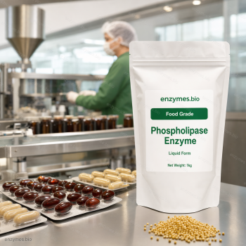 Phospholipase liquide de qualité alimentaire — enzyme industrielle de enzymes.bio