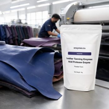 Leather Tanning Enzymes: Acid Protease Enzyme Industrial Powder — industrial enzyme by enzymes.bio