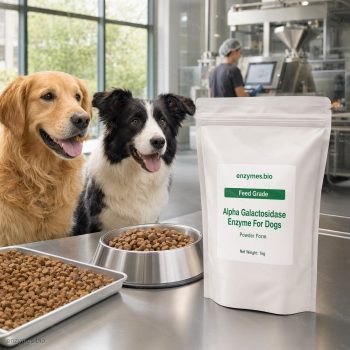Alpha Galactosidase Enzyme For Dogs Feed Grade Powder — industrial enzyme by enzymes.bio