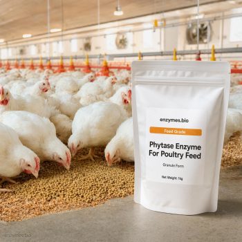 Phytase Enzyme For Poultry Feed Feed Grade Granule — industrial enzyme by enzymes.bio