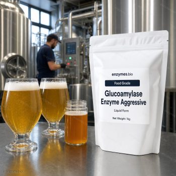 Glucoamylase Enzyme Aggressive Food Grade Liquid — industrial enzyme by enzymes.bio
