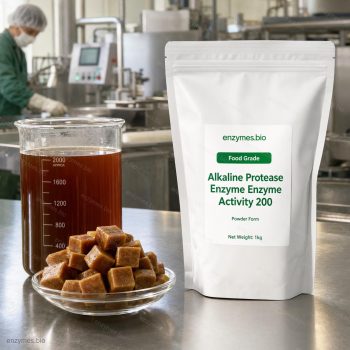 Enzyme protéase alcaline, activité enzymatique 200, poudre de qualité alimentaire — enzyme industrielle de enzymes.bio