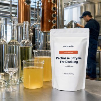 Pectinase Enzyme For Distilling Food Grade Liquid — industrial enzyme by enzymes.bio