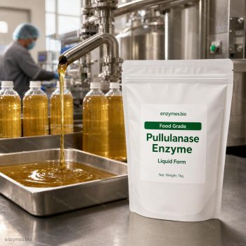 Pullulanase Enzyme Food Grade Liquid — industrial enzyme by enzymes.bio