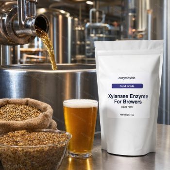 Xylanase Enzyme For Brewers Food Grade Liquid — industrial enzyme by enzymes.bio