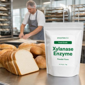 Xylanase Enzyme Food Grade Powder — industrial enzyme by enzymes.bio