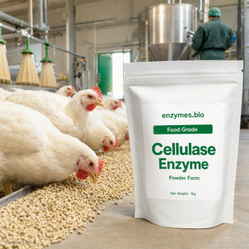 Cellulase Enzyme Powder 11000u/g