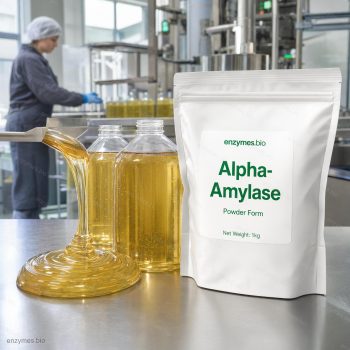 Alpha-Amylase Powder — industrial enzyme by enzymes.bio