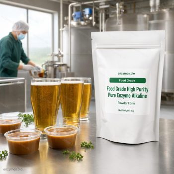 Food Grade High Purity Pure Enzyme Alkaline Food Grade Powder — industrial enzyme by enzymes.bio
