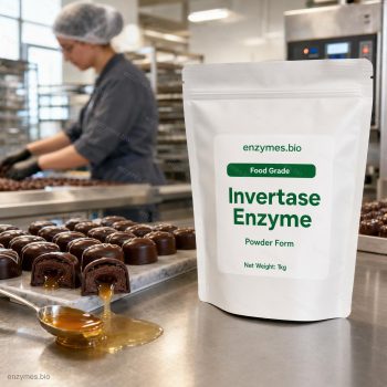 Invertase Enzyme Food Grade Powder — industrial enzyme by enzymes.bio