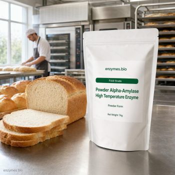 Powder Alpha-Amylase High Temperature Enzyme Food Grade Powder — industrial enzyme by enzymes.bio