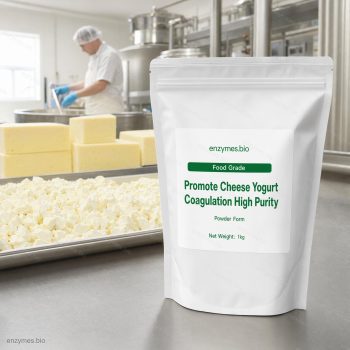 Promote Cheese Yogurt Coagulation High Purity Food Grade Powder — industrial enzyme by enzymes.bio