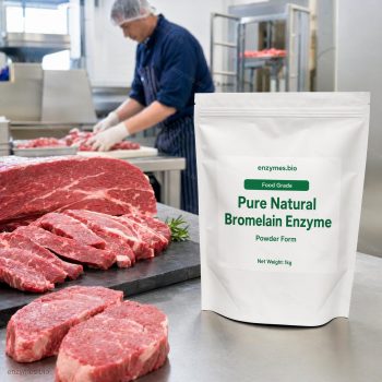 Pure Natural Bromelain Enzyme Food Grade Powder — industrial enzyme by enzymes.bio