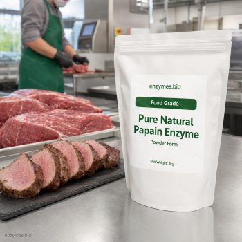 Pure Natural Papain Enzyme Food Grade Powder — industrial enzyme by enzymes.bio
