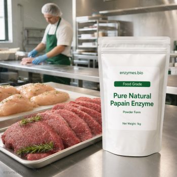 Pure Natural Papain Enzyme Food Grade Powder — industrial enzyme by enzymes.bio
