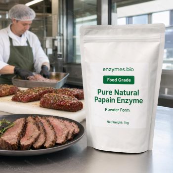 Pure Natural Papain Enzyme Food Grade Powder — industrial enzyme by enzymes.bio