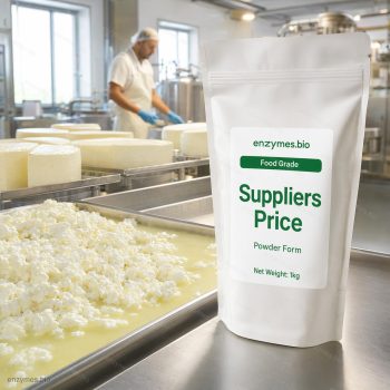 Suppliers Price Food Grade Powder — industrial enzyme by enzymes.bio