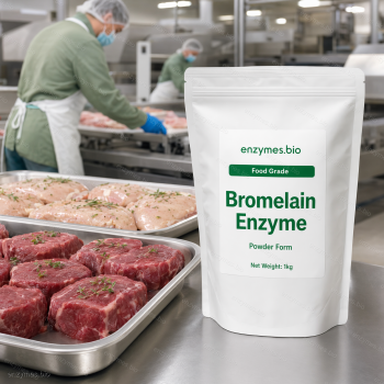 Bromelain Enzyme Food Grade Powder — industrial enzyme by enzymes.bio