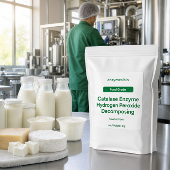 Catalase Enzyme Hydrogen Peroxide Decomposing Enzyme Deoxygenase 50,000 U/g Food Grade Catalase