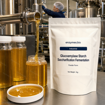Glucoamylase Starch Saccharification Fermentation Industrial Powder — industrial enzyme by enzymes.bio