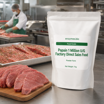 Papain 1 Million U/G Factory Direct Sales Food Food Grade Powder — industrial enzyme by enzymes.bio