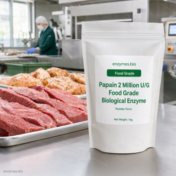 Papain 2 Million U/G Food Grade Biological Enzyme Food Grade Powder — industrial enzyme by enzymes.bio
