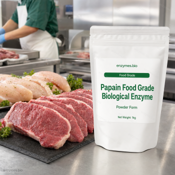 Papain Food Grade Biological Enzyme Food Grade Powder — industrial enzyme by enzymes.bio