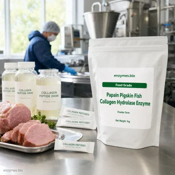 Papain Pigskin Fish Collagen Hydrolase Enzyme Food Grade Powder — industrial enzyme by enzymes.bio