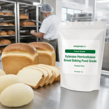 Xylanase Hemicellulase Bread Baking Food Grade Food Grade Powder — industrial enzyme by enzymes.bio
