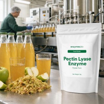 Pectin Lyase Enzyme Food Grade Powder — industrial enzyme by enzymes.bio