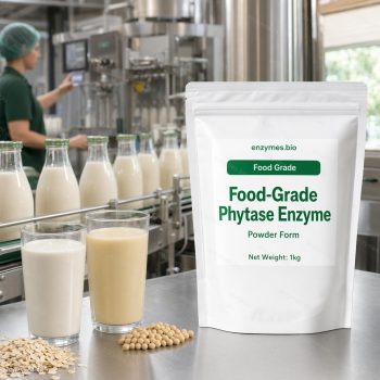 Food-Grade Phytase Enzyme Food Grade Powder — industrial enzyme by enzymes.bio