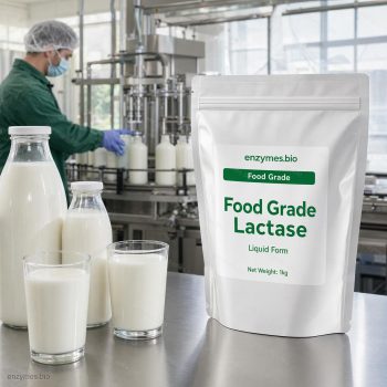 Food Grade Lactase Food Grade Liquid — industrial enzyme by enzymes.bio