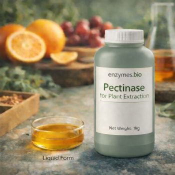 Pectinase Food Grade 10000 U/mL for Plant Extraction — bulk powder supplier | Enzymes.Bio