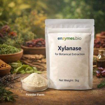 Xylanase - Food Grade 110,000 U/g for Botanical Extraction — bulk powder supplier | Enzymes.Bio