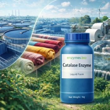 Catalase Enzyme Industrial Grade 100,000 U/g — bulk powder supplier | Enzymes.Bio
