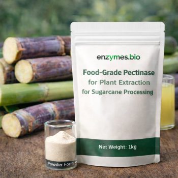 Pectinase Food Grade for Sugarcane Extraction Powder — bulk powder supplier | Enzymes.Bio