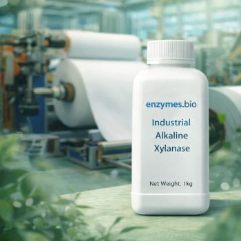 Industrial Alkaline Xylanase 100,000 U/g Pulp & Paper — bulk powder supplier | Enzymes.Bio