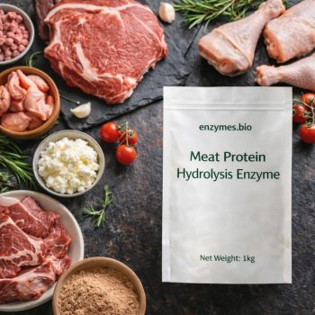 Meat Protein Hydrolysis Enzyme - Food Grade Powder — bulk powder supplier | Enzymes.Bio