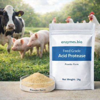 Feed Grade Acid Protease Powder — Enzyme Supplier | Enzymes.bio
