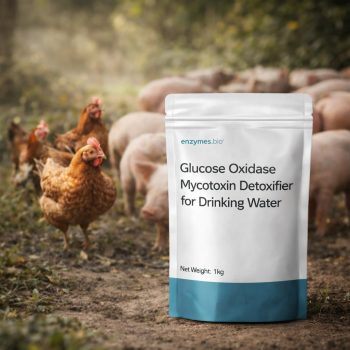 Glucose Oxidase Mycotoxin Detoxifier for Drinking Water — Enzyme Supplier | Enzymes.bio