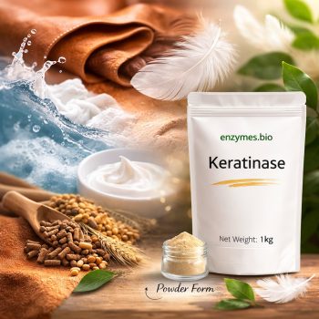 Industrial Keratinase Powder — Enzyme Supplier | Enzymes.bio