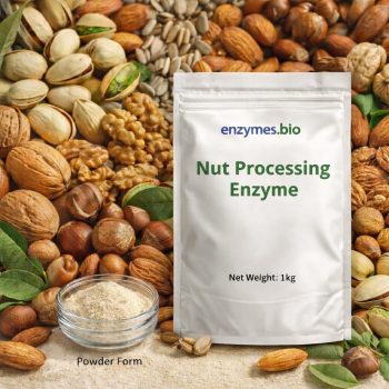 Nut Processing Enzyme — Enzyme Supplier | Enzymes.bio