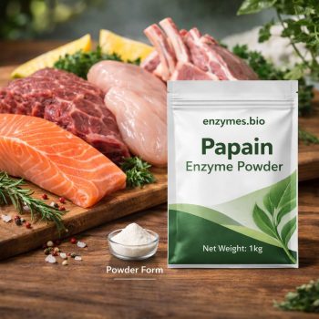 Papain Enzyme